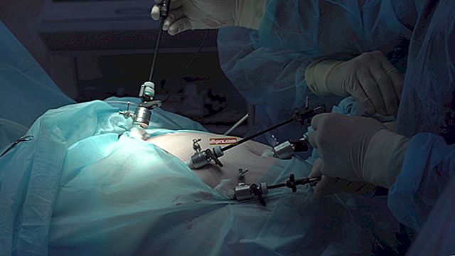 Endoskopi Perlu Diterapkan Pada Pesakit Yang Betul Di Tangan Pakar!